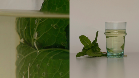 Mint Tea Organic Infusion