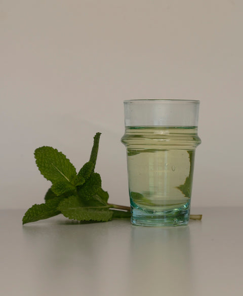 Mint Tea Organic Infusion