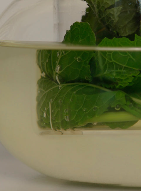 Mint Tea Organic Infusion