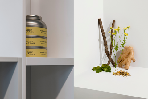 Our Favourites of the Season