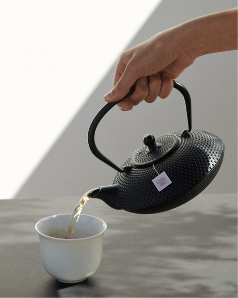 Our Favourites of the Season